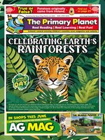 The Primary Planet